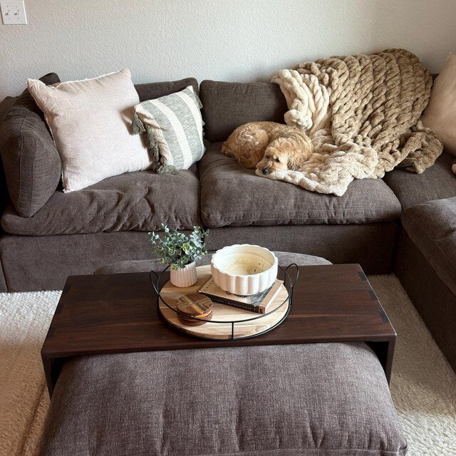 A cozy living room scene featuring a dark brown sectional sofa with a small golden dog sleeping on the seat cushion, wrapped in a chunky knit beige throw blanket. In front of the sofa is a dark wood coffee table with a matching ottoman, styled with a small potted plant and a white bowl on a tray.